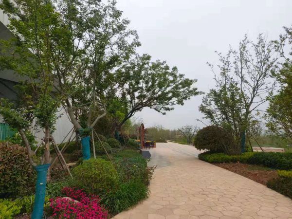 城市绿化
