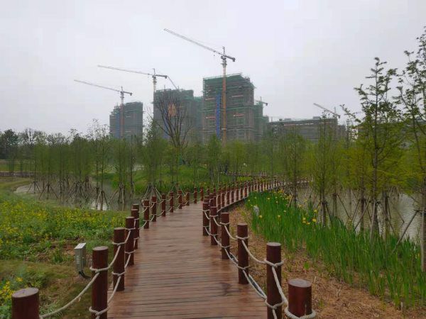 绿化工程